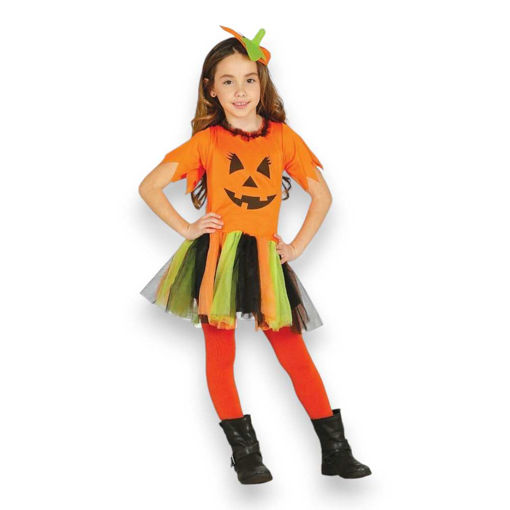 Picture of PUMPKIN GIRL AGE 10-12 YEARS